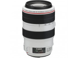 Canon EF 70-300mm f/4-5.6L IS USM